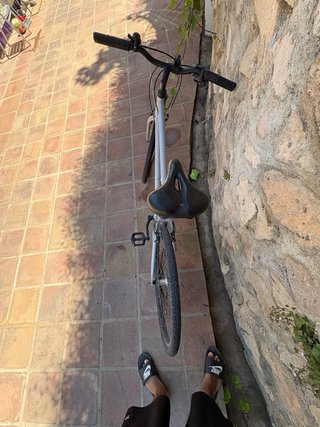 Bicicleta plateada