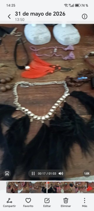 Bisutería negra y dorada..se vende  lote completo