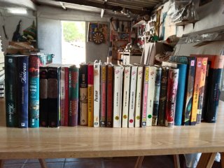 Colecciones de libros diferentes