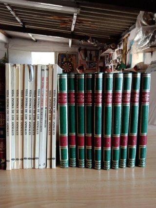 Colecciones de libros diferentes