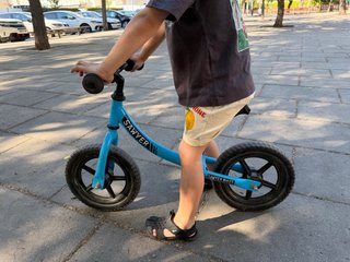 Bicicleta de equilibrio Sawyer