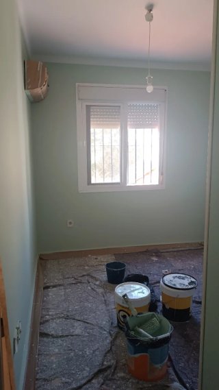 Pintor profesional