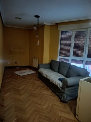 Sofá EKTORP 2 plazas IKEA gris