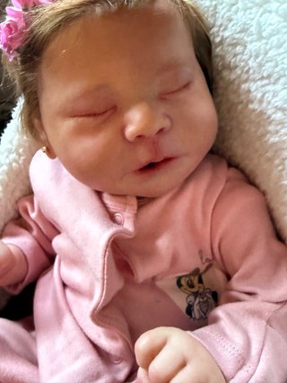Bebé Reborn Chase