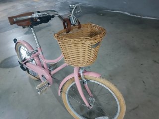 Bicicleta paseo Bobbin Gingersnap niña
