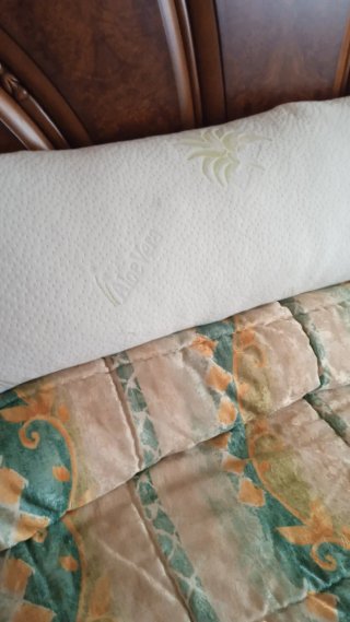 Almohada Aloe Vera 105cm nueva