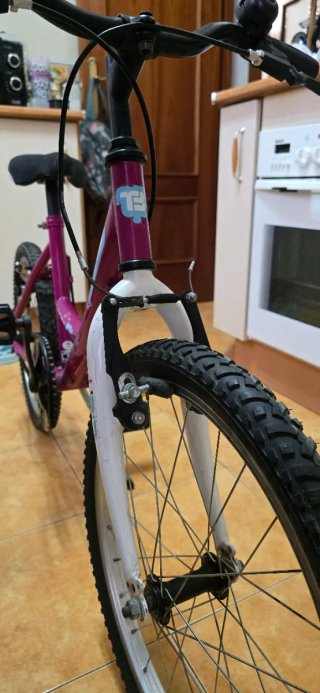 Bicicleta infantil TopBike 20