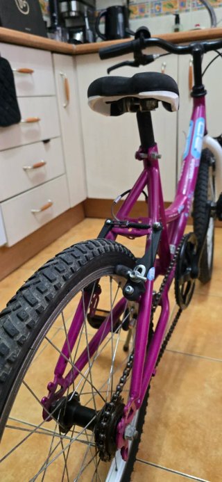 Bicicleta infantil TopBike 20