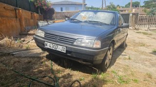 Peugeot 405 1989