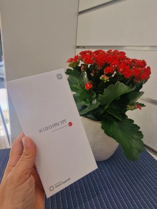 Xiaomi 17T 256GB+12GB Negro