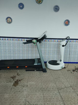 Cinta de correr profesional