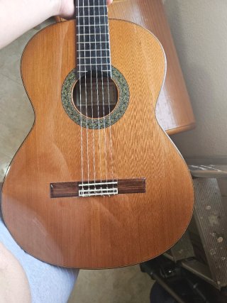 Guitarra Alhambra 5p 2008
