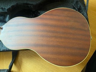 Washburn Rover
