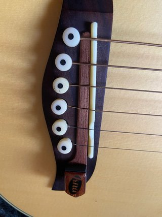 Washburn Rover