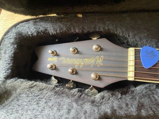 Washburn Rover
