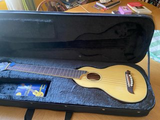 Washburn Rover