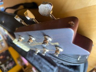 Washburn Rover