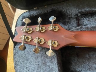Washburn Rover