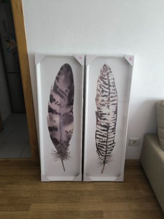 2 Cuadros Plumas Decorativos