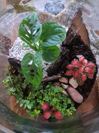 ECOSISTEMAS. Pequeños Universos Vivos.