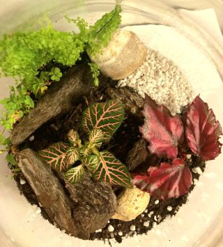 ECOSISTEMAS. Pequeños Universos Vivos.