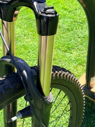 Scooter Gravity mushing pro