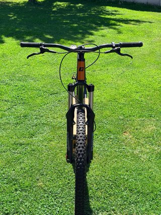 Scooter Gravity mushing pro