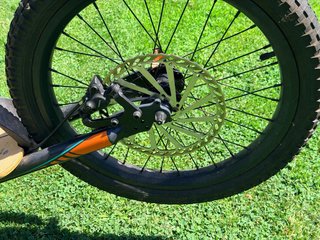 Scooter Gravity mushing pro