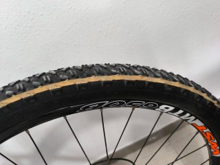 Bicicleta Montaña WST QUAKE 724 (L)