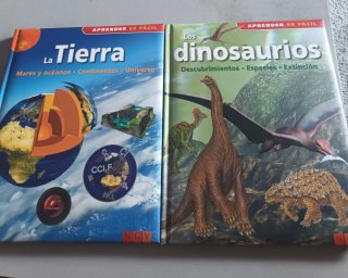 Lote libros