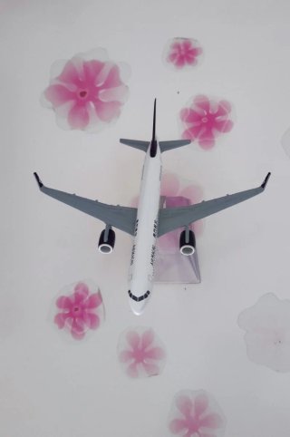 Maqueta Avión Air Macau