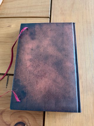 El diario perdido de Indiana Jones