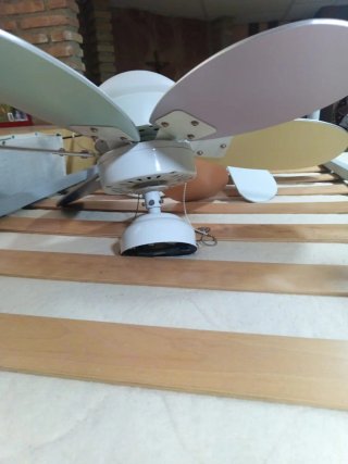 Ventilador de techo juvenil blanco y otro de color