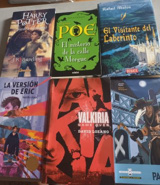 Lote libros Aventuras juveniles