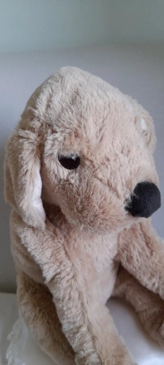 Peluche Cane Golden Retriever Morbidissimo