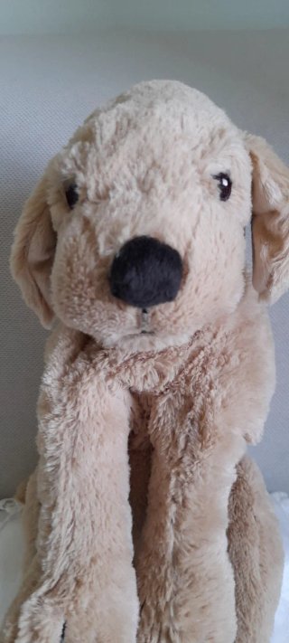 Peluche Cane Golden Retriever Morbidissimo