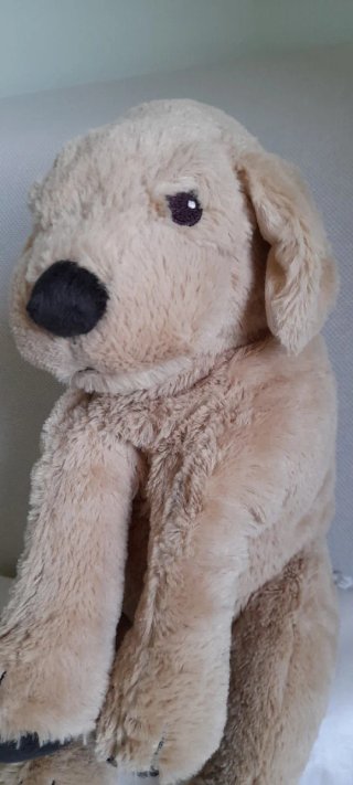 Peluche Cane Golden Retriever Morbidissimo