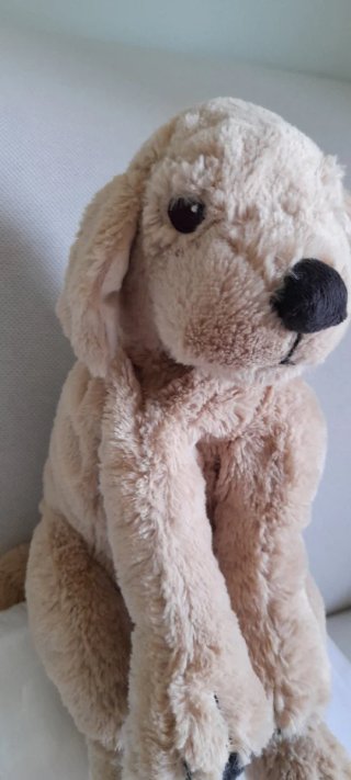 Peluche Cane Golden Retriever Morbidissimo