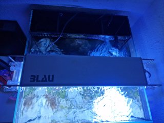 Waterbox Nano Marino en funcionamiento