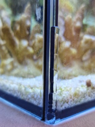 Waterbox Nano Marino en funcionamiento