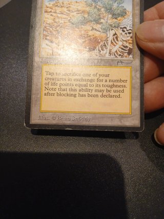 Diamond Valley - Magic The Gathering