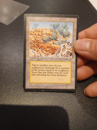 Diamond Valley - Magic The Gathering
