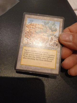 Diamond Valley - Magic The Gathering