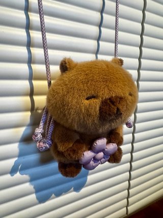 Bolso Capibara Zara Peluche Flor Morada