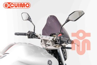YAMAHA FZ6 N