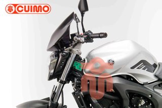 YAMAHA FZ6 N