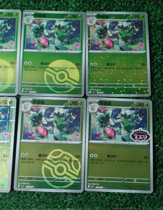 Floragato Lote Pokemon Gem Pack 5 CBB5C