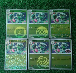 Floragato Lote Pokemon Gem Pack 5 CBB5C