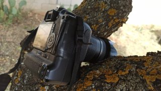 ¿Quieres aprender fotografía? Canon EOS 550D