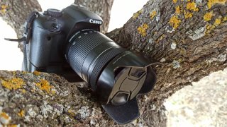 ¿Quieres aprender fotografía? Canon EOS 550D